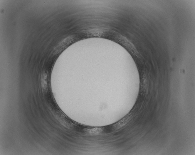 X0000083660122200703121821