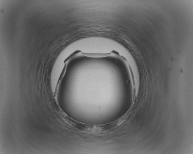 X0000083660125200703121821