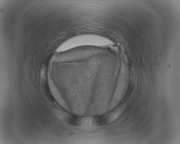 X0000083660127200703121821