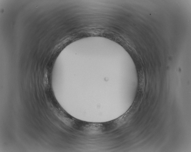 X0000083660128200703121821