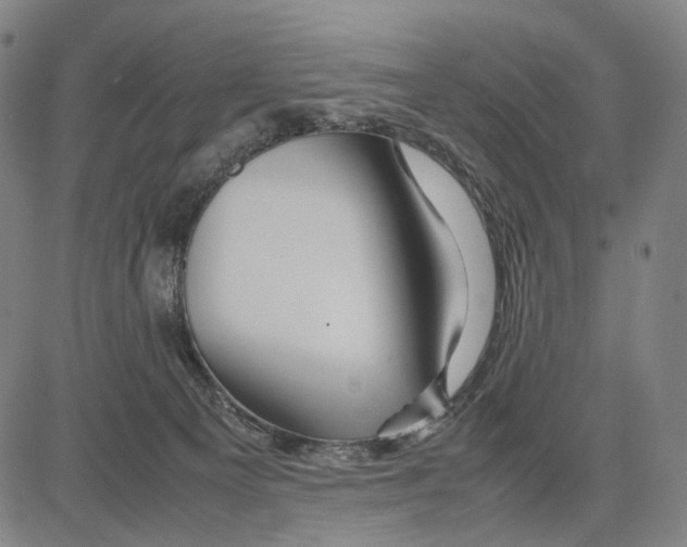 X0000083660129200703121821