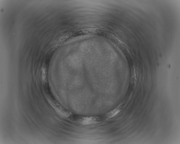 X0000083660130200703121821