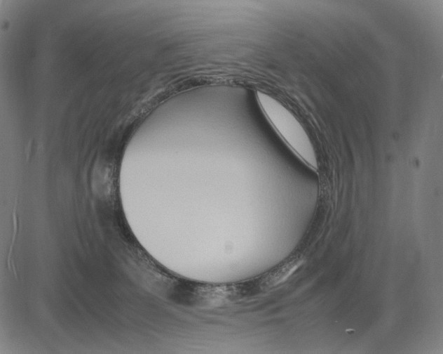 X0000083660131200703121821