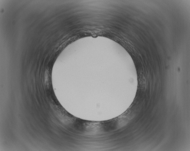 X0000083660132200703121821