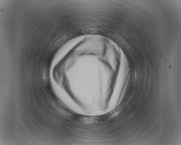 X0000083660134200703121821