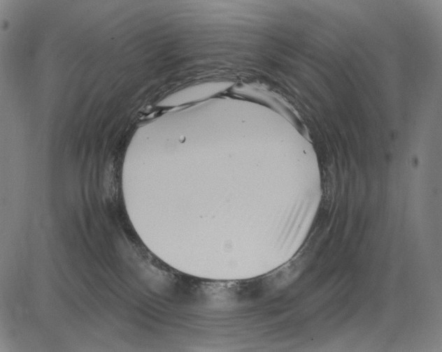 X0000083660136200703121821