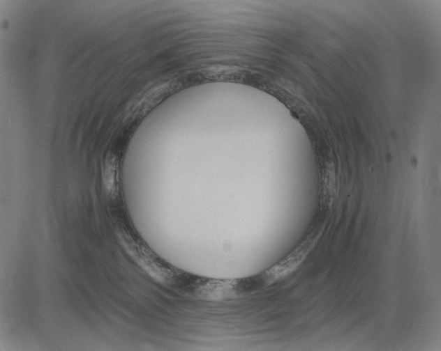 X0000083660138200703121821