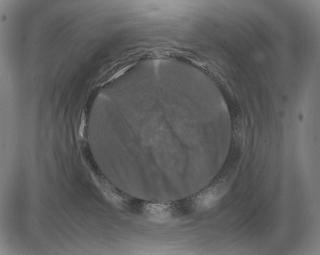 X0000083660139200703121821