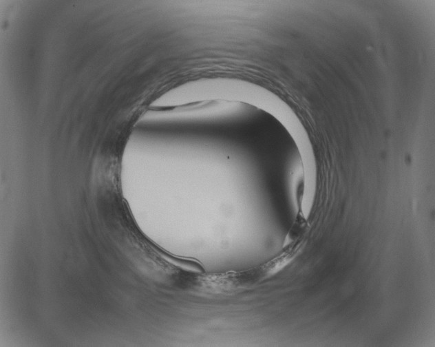 X0000083660141200703121821