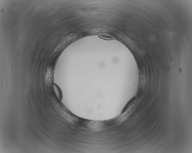 X0000083660142200703121821