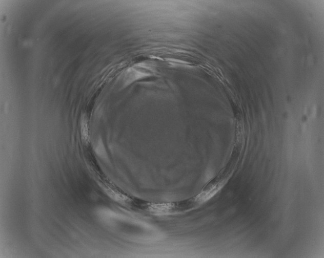 X0000083660143200703121821