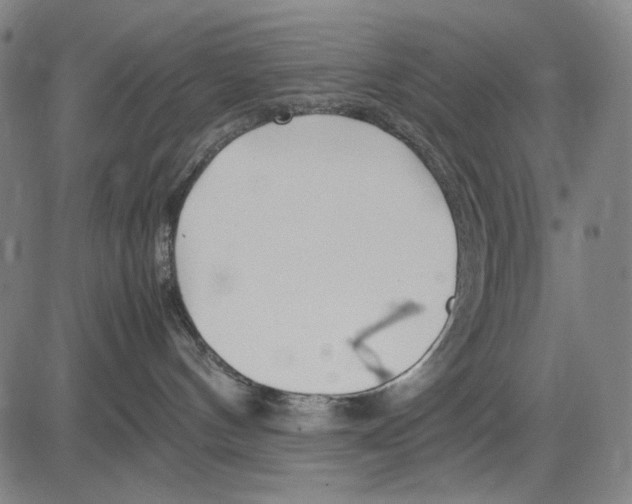 X0000083660144200703121821