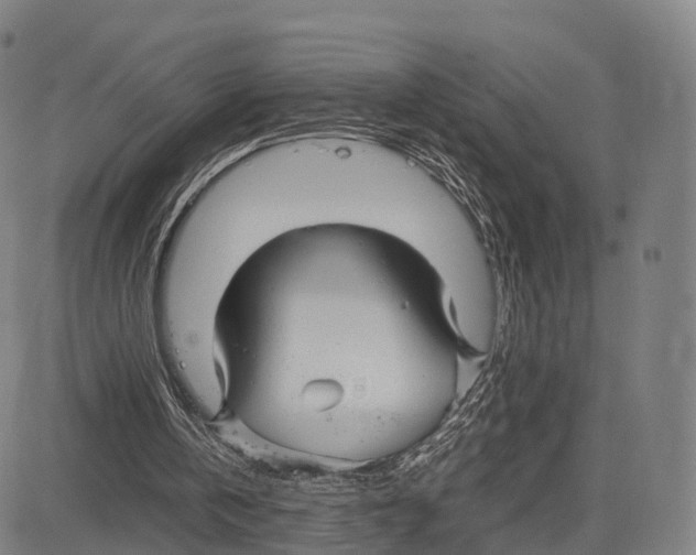 X0000083660146200703121820