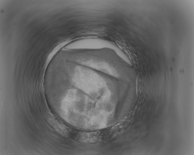 X0000083660147200703121820