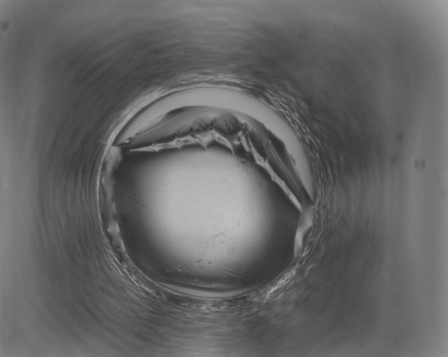 X0000083660148200703121820