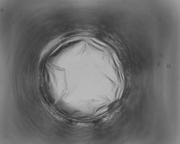 X0000083660149200703121820