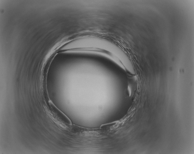 X0000083660150200703121820