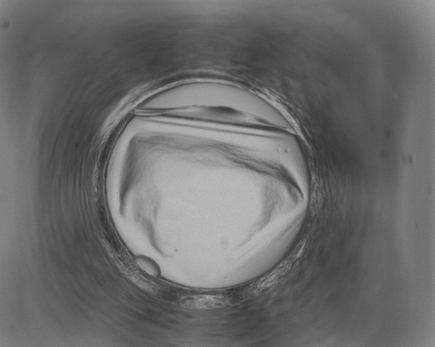 X0000083660151200703121820