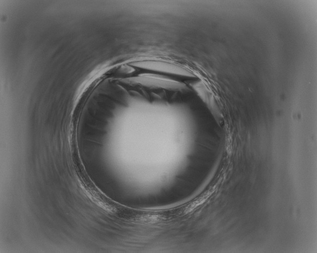 X0000083660152200703121820