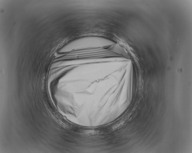 X0000083660153200703121820