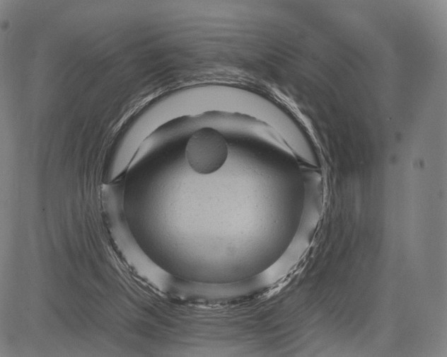 X0000083660154200703121820