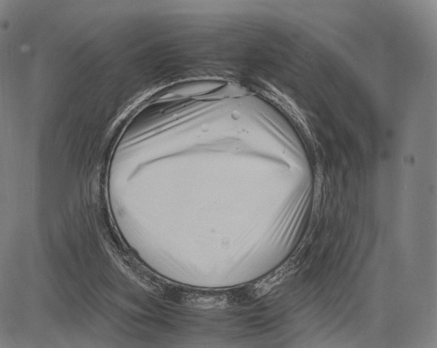 X0000083660155200703121820