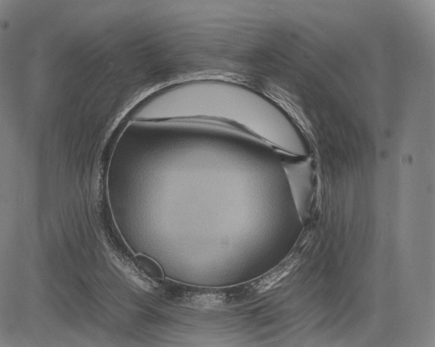 X0000083660156200703121820