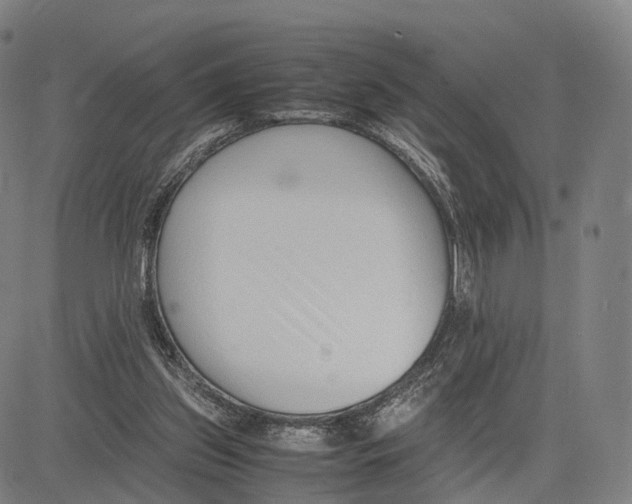 X0000083660157200703121820