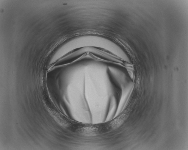 X0000083660158200703121820