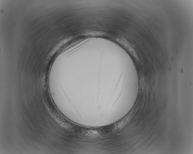 X0000083660159200703121820