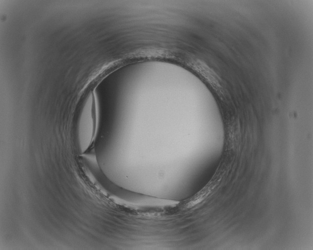 X0000083660160200703121820