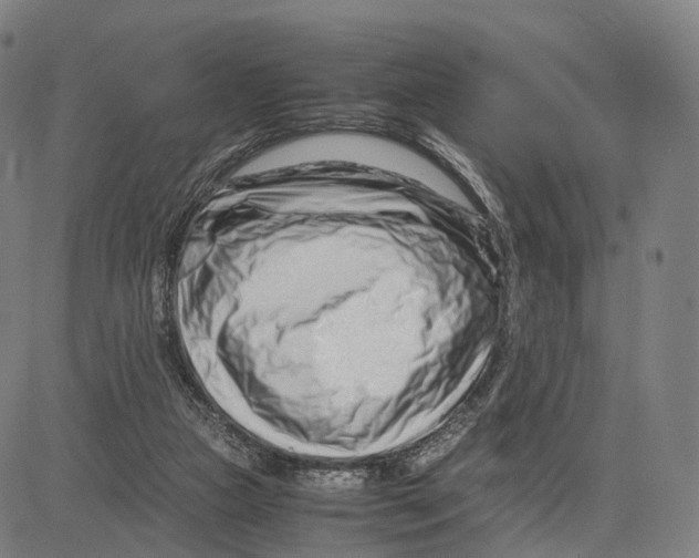 X0000083660161200703121820