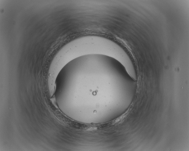 X0000083660162200703121820