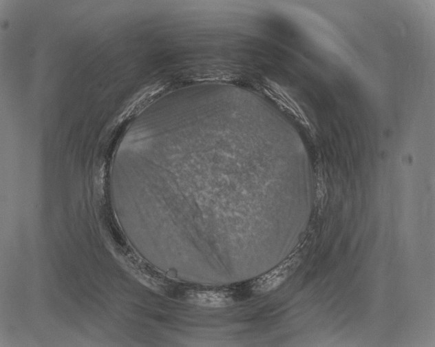 X0000083660163200703121820