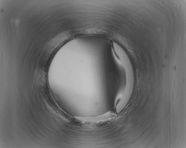 X0000083660164200703121820