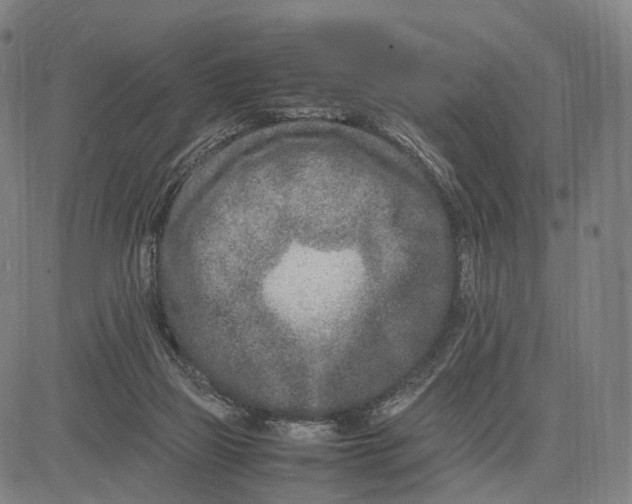 X0000083660165200703121820