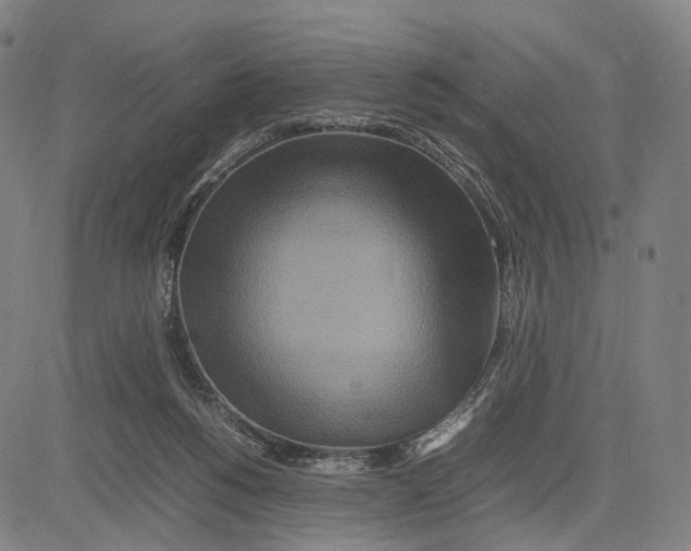 X0000083660168200703121821