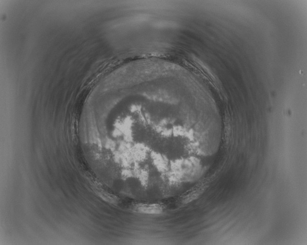 X0000083660169200703121821