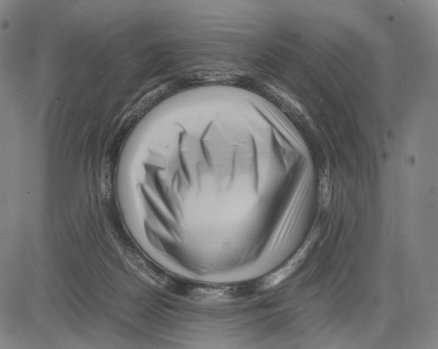 X0000083660170200703121821