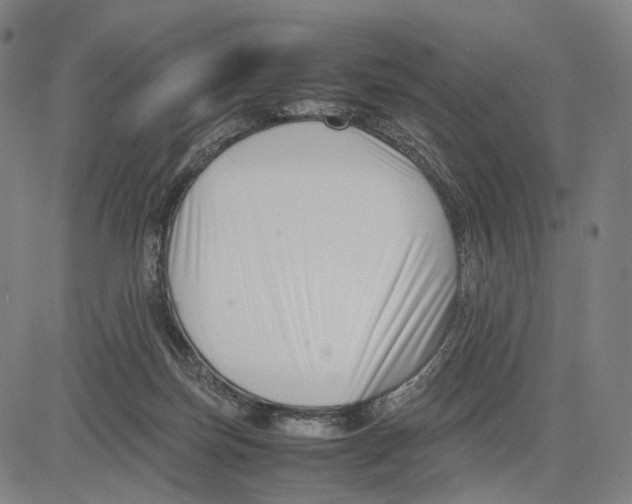 X0000083660171200703121821