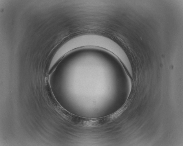 X0000083660172200703121821