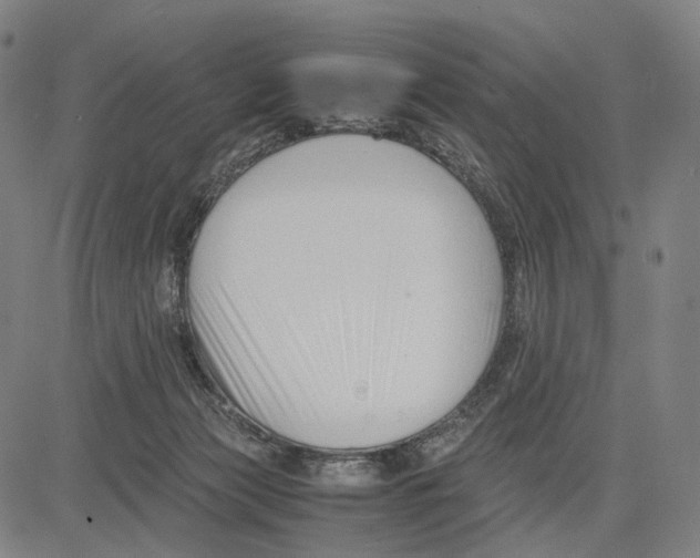 X0000083660173200703121821