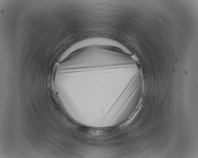 X0000083660174200703121821