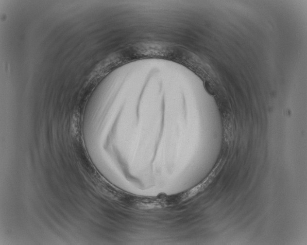 X0000083660175200703121821