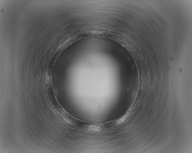 X0000083660176200703121821