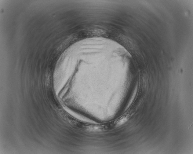 X0000083660177200703121821