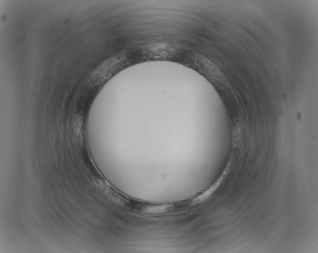 X0000083660178200703121821