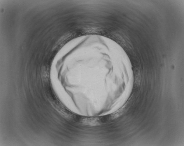 X0000083660179200703121821