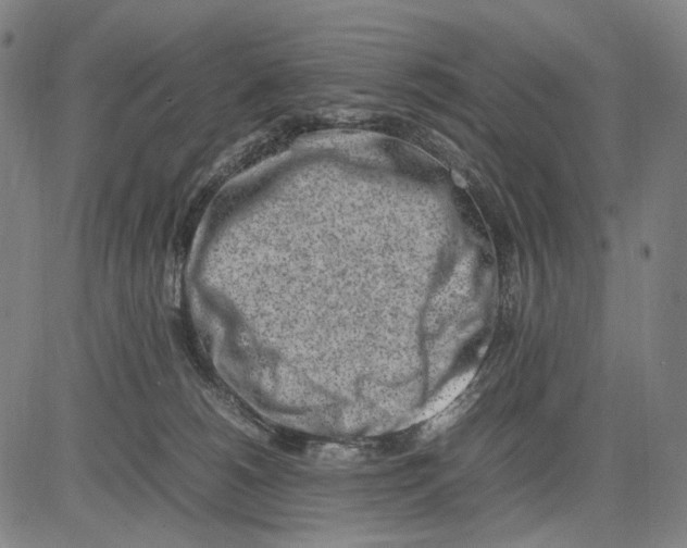 X0000083660180200703121821