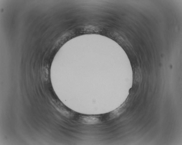 X0000083660183200703121821